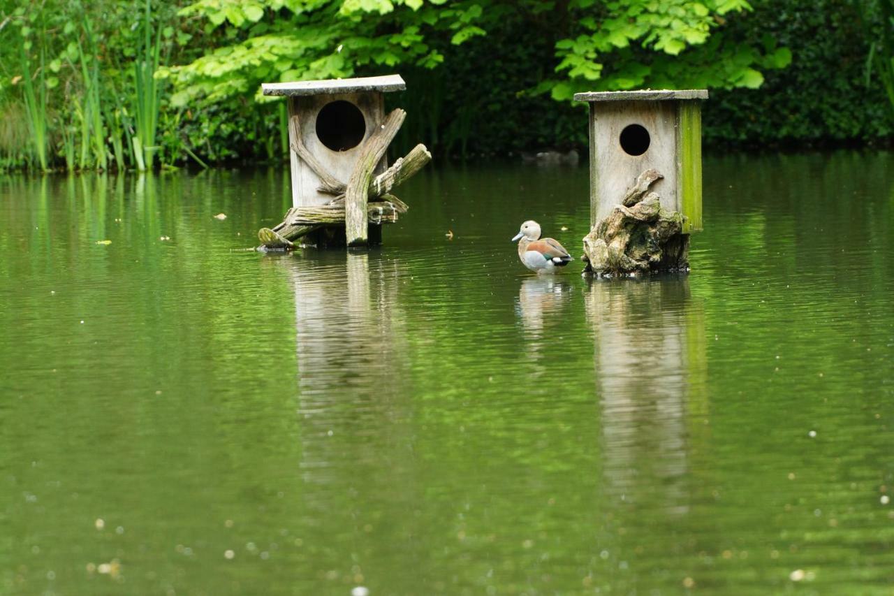 Gaestewohnung Hardinghaus Am Teich Warendorf Exterior foto